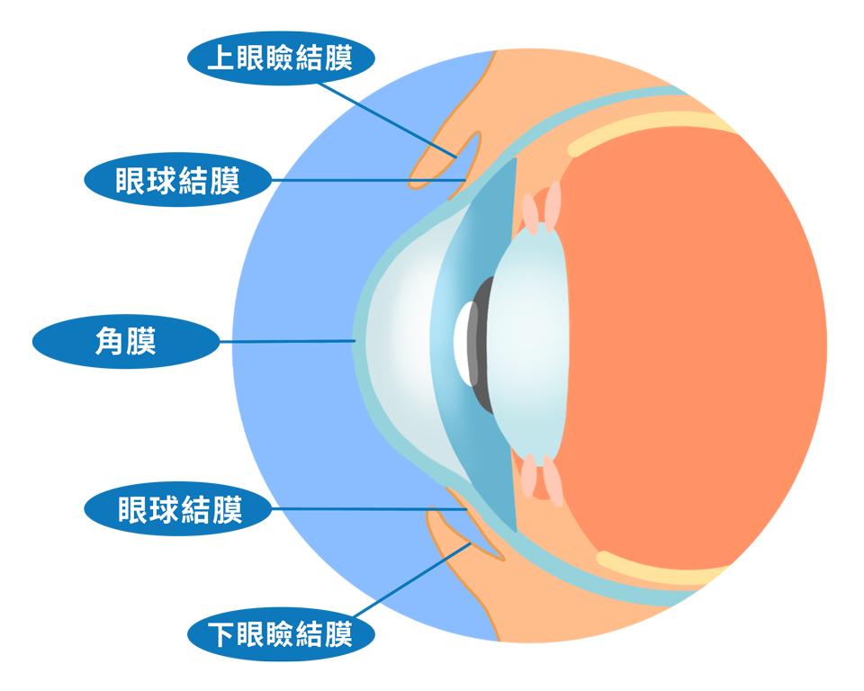ecd_conjunctivitis_know